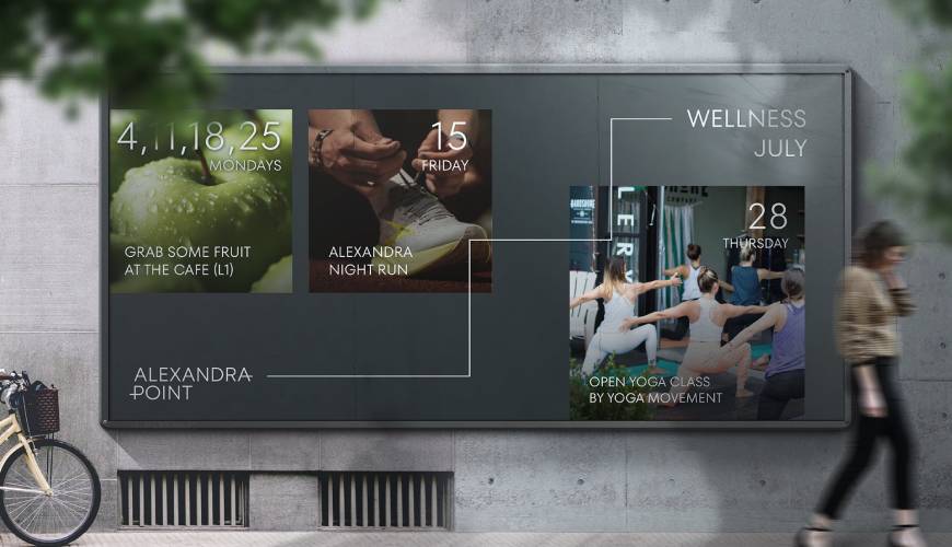 金湖县画册设计公司如何进行品牌审核